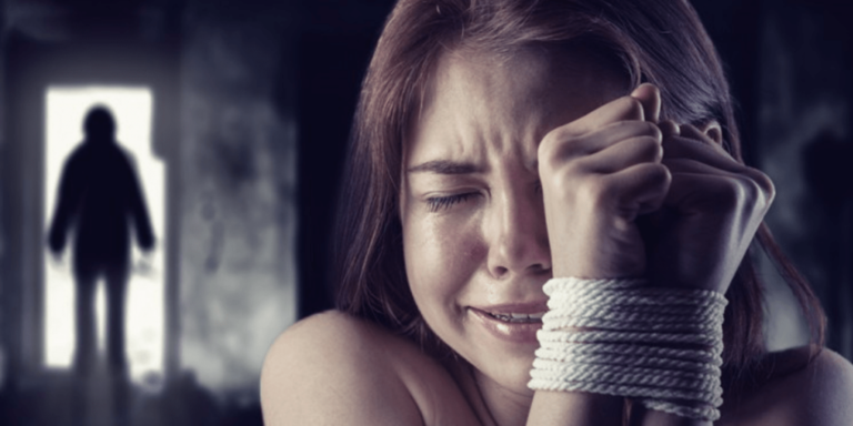 Read more about the article PaedoVile