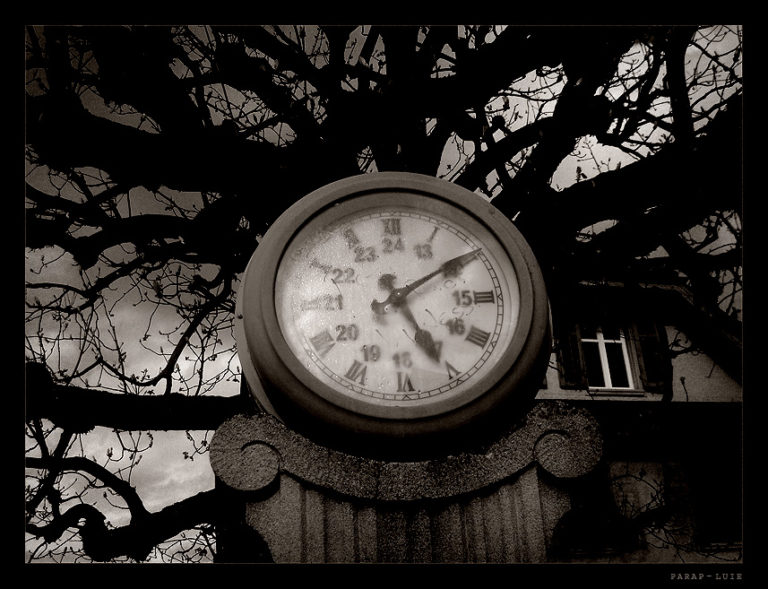 Read more about the article Haunted Memories